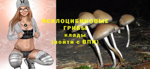 прущие грибы Покачи
