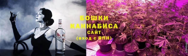 прущие грибы Покачи