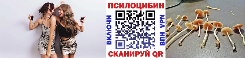 Псилоцибиновые грибы прущие грибы купить наркотики сайты Губаха